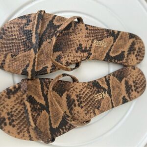 TKEES Gemma Exotic Coco Snake Size 8